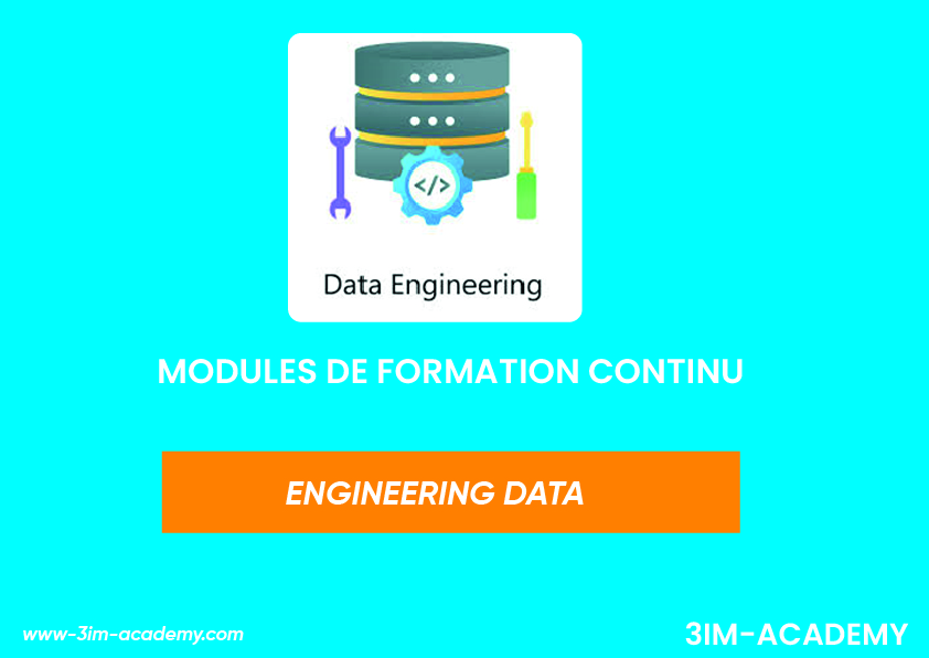 ENGINEERING DATA_Plan de travail 1