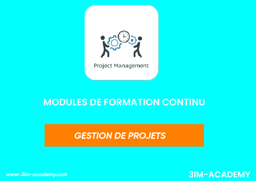 GESTION DE PROJETS_Plan de travail 1