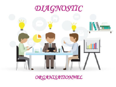 diagnostic organisationnel